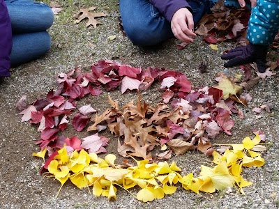 Photos of Nutshell At the Dahlem Center