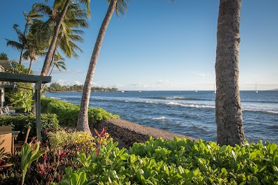 Lahaina Ocean