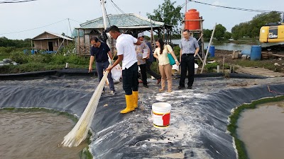 Photos of Tambak demfarm