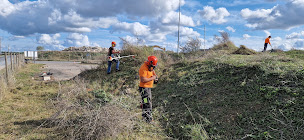 Photo n°18 de Aubert élagage à Gièvres (Service d'élagage)