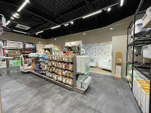 Photo n°3 de Orchestra CALAIS CC Les 2 Caps à Calais (Magasin de jouets)