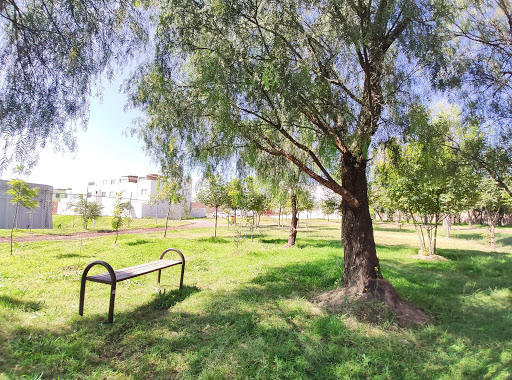 Area verde pet friendly La Antigua Cementera