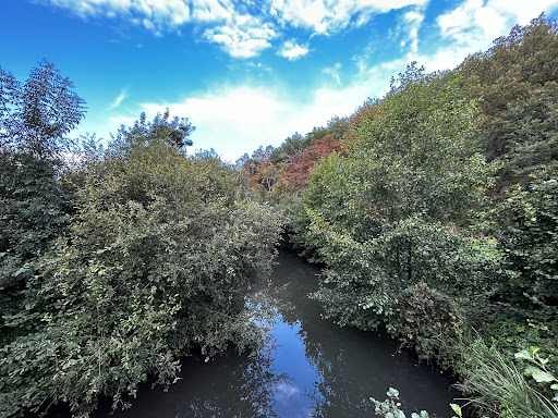 Parc de la Boivre - Thumbnail