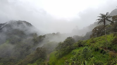 Photos of San Jorge Eco-lodge Tandayapa - Hummingbird Sanctuary