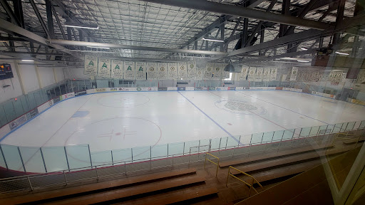 Lewis Ice Arena Gallery - United States