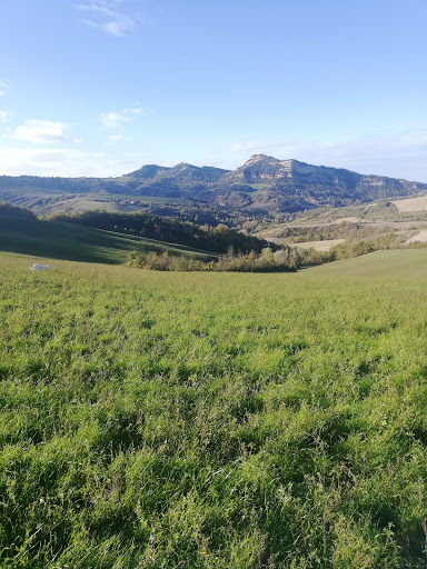 Sabbioni - Visual