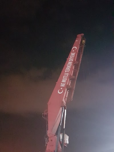 moving-company