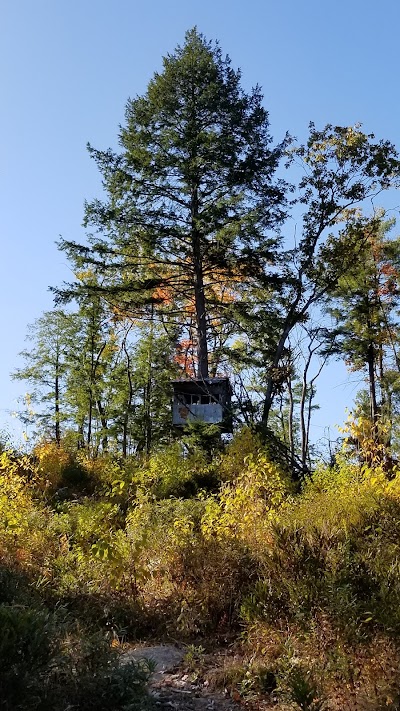 Kilburn Pond Trailhead, Pisgah State Park