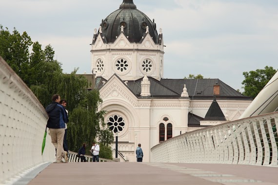 Damjanich János Múzeum - Szolnoki Galéria, Author: Nagy B. János