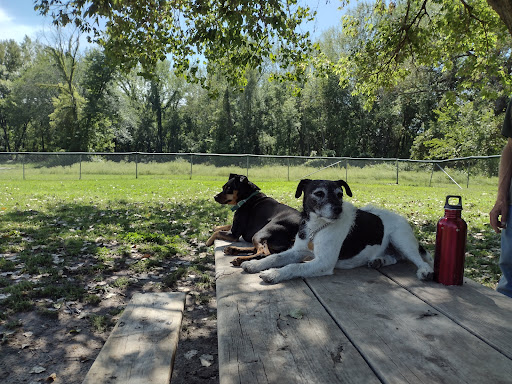 Saint Peter Dog Park Logo