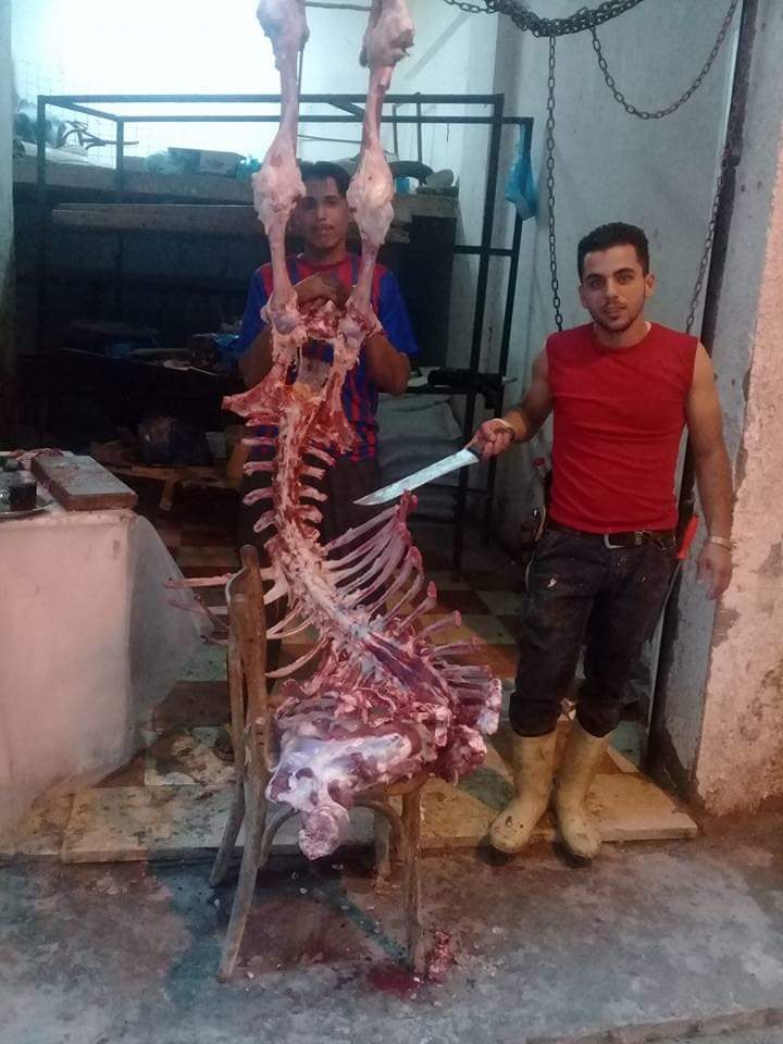 نادر الجزار جزاره الافرنجي - صورة 4