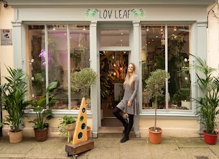 Lov Leaf
