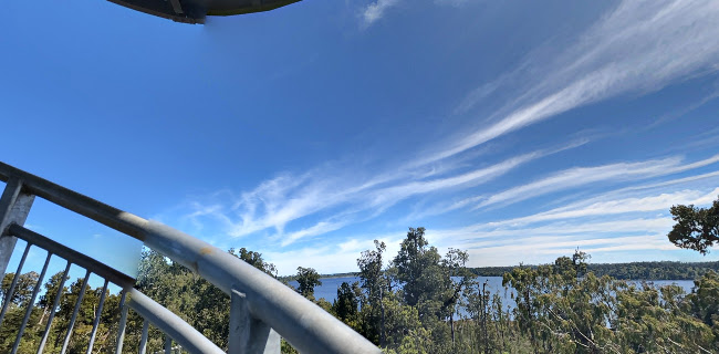 Comments and reviews of West Coast Tree Top - Zipline South Island