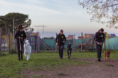 Centro Cinofilo Spiral Dog