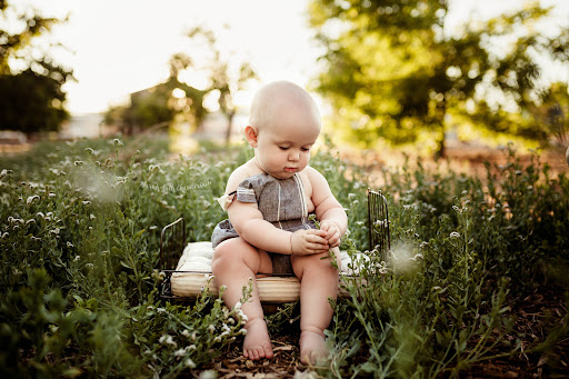 Sarah Beth Chamberlain Photography - Thumbnail