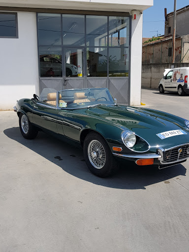 Savaia Francesco Gallery - Italy