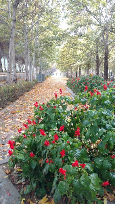Photos of Daneshju Park