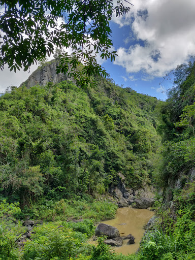 Cascada La Niebla - Thumbnail