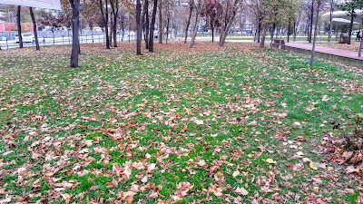 Photos of Ottoman Park