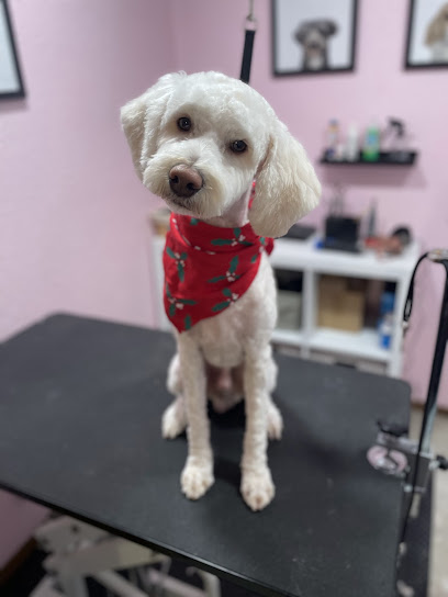 The Dog Spa- Grooming by Lexi