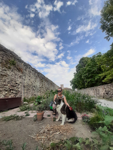 Parcheggio di Porta del Ponte - Thumbnail