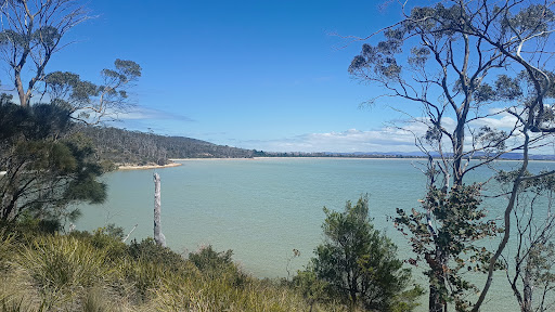 Mortimer Bay Coastal Reserve - Thumbnail