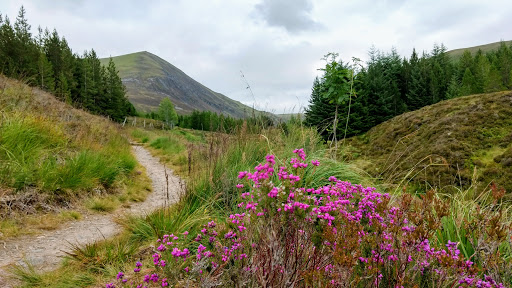 Ben Wyvis National Nature Reserve Car Park - Thumbnail