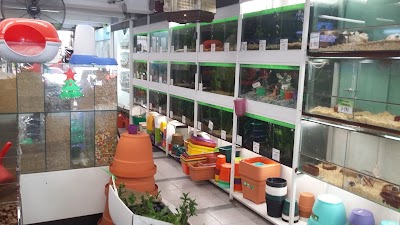 Photos of Neozo pet store