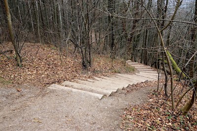 Photos of Pūčkoriai cognitive path