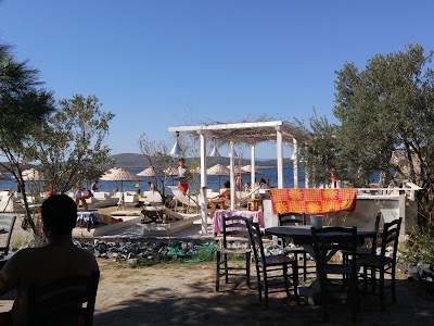 Photos of Zeytuna Beach