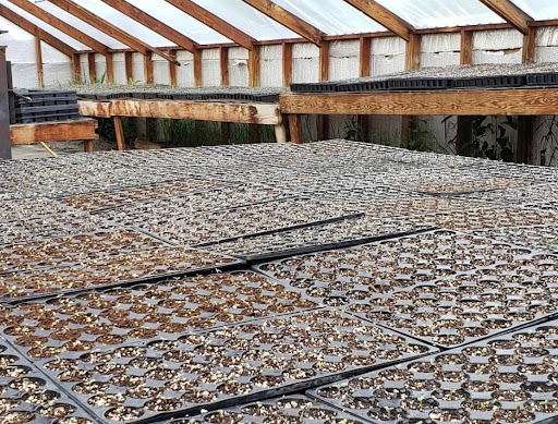 PureLee Farms - Thumbnail