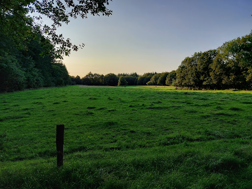 Staatsbosbeheer Drents-Friese Wold - Thumbnail