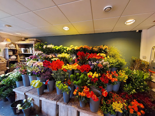 Bloemenhuis Gerbera Gallery - Netherlands