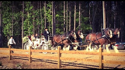 Honey Island Clydesdales