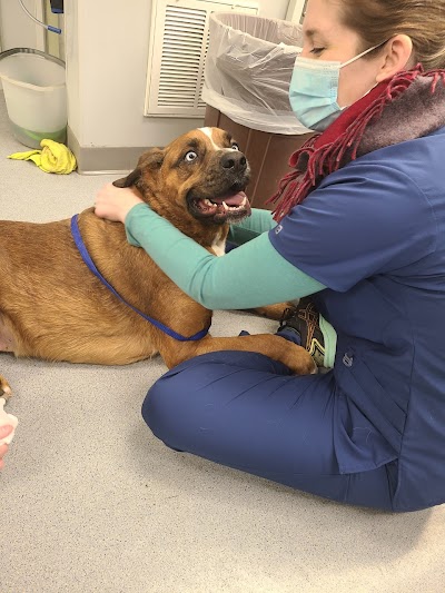 VCA Albemarle Veterinary Health Care Center