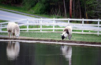 Dakota Ridge Farm