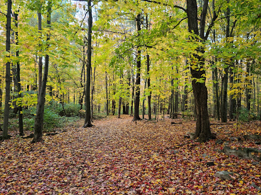 Deevy Pines Park Gallery - Canada