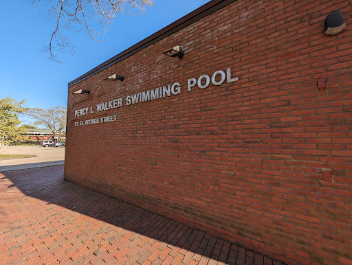 Percy Walker Pool - Visual
