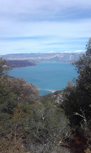 Photo de Verdon, La Cigale se prélasse aux Lacs du Verdon et dans le jacuzzi à Régusse (83630)