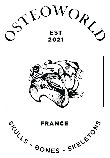 OsteoWorld
