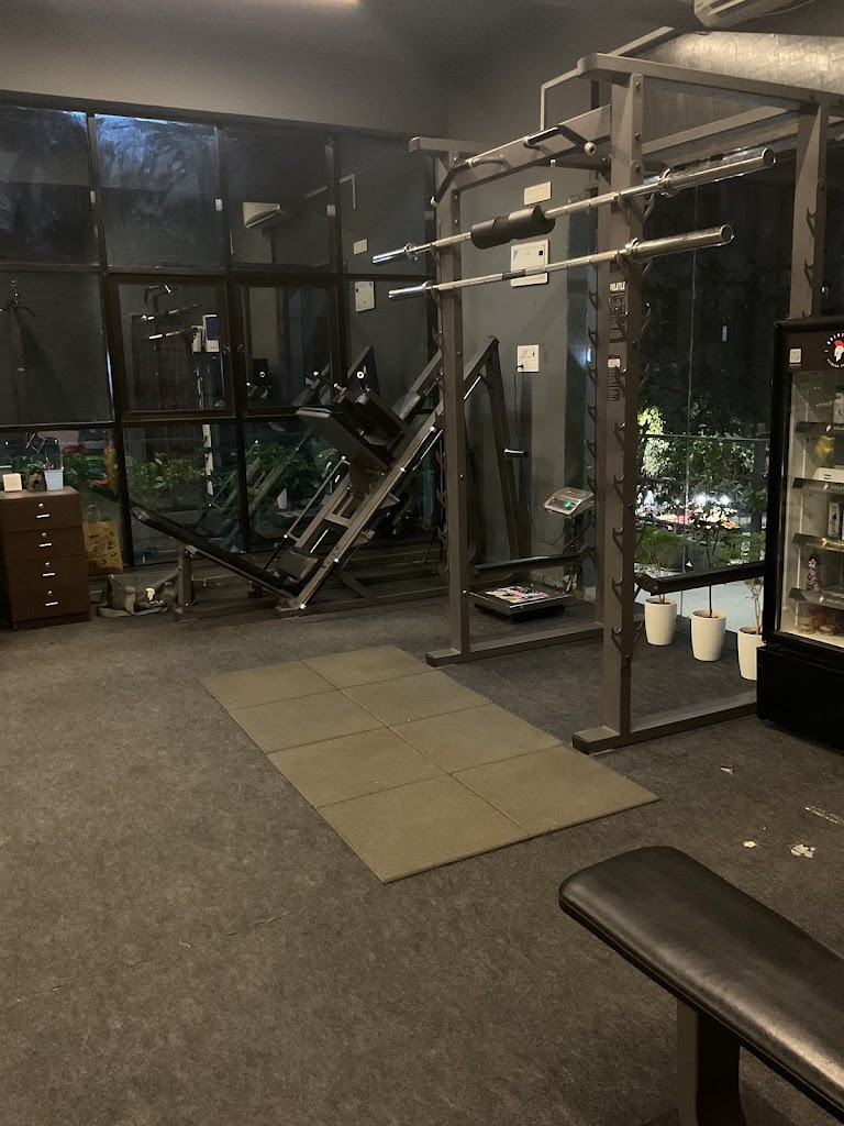 Volatile Gym