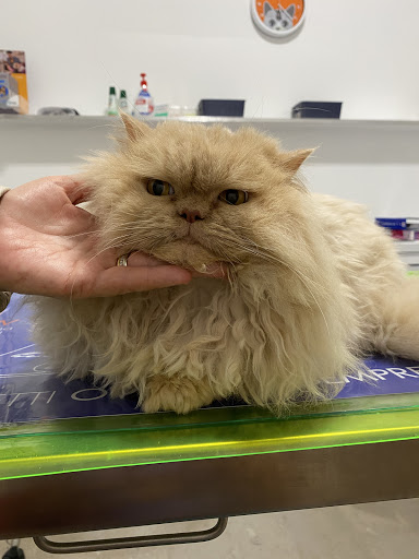 ambulatorio veterinario DON BOSCO - Thumbnail