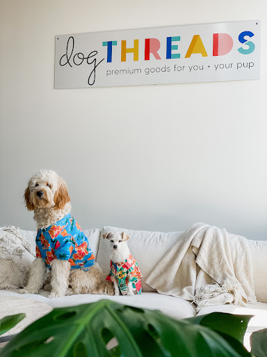 Dog Threads - Visual
