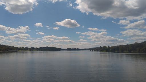 Kingston Parks and Recreation - Thumbnail