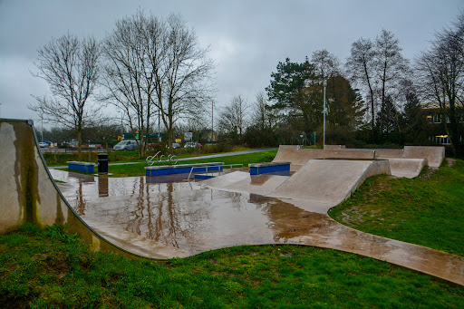 Cale Park - Visual