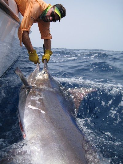 Photos of Arabian Divers & Sport Fishing Charters
