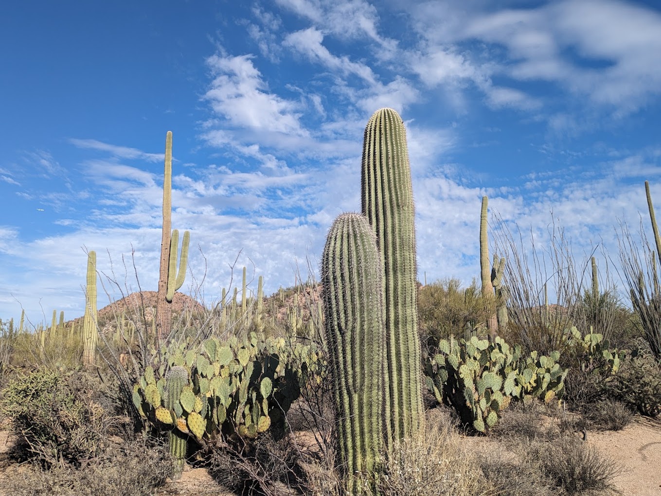 Photo of Valley View Overlook Trail