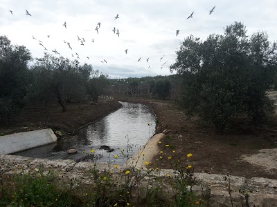 Photos of Dolmen Frisari