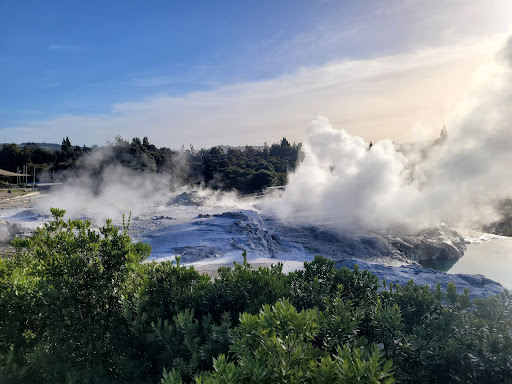 Te Puia Thermal Park - Thumbnail