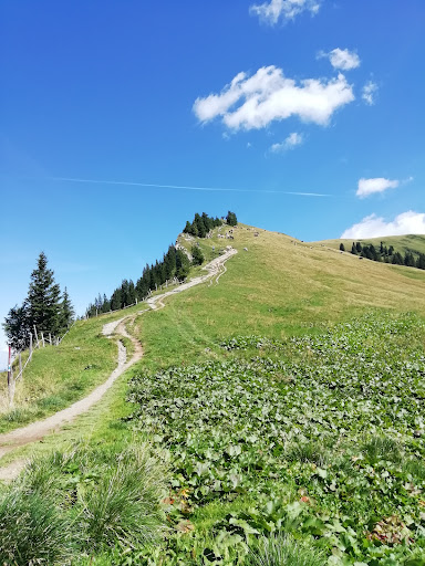 Waldburg-Zeil Kliniken - Klinik Alpenblick - Thumbnail